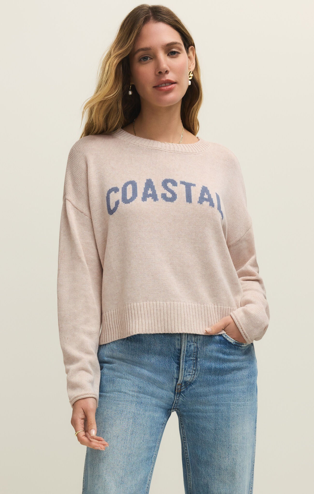 Z Supply Coastal Sweater